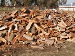 Babool firewood 500x500 1
