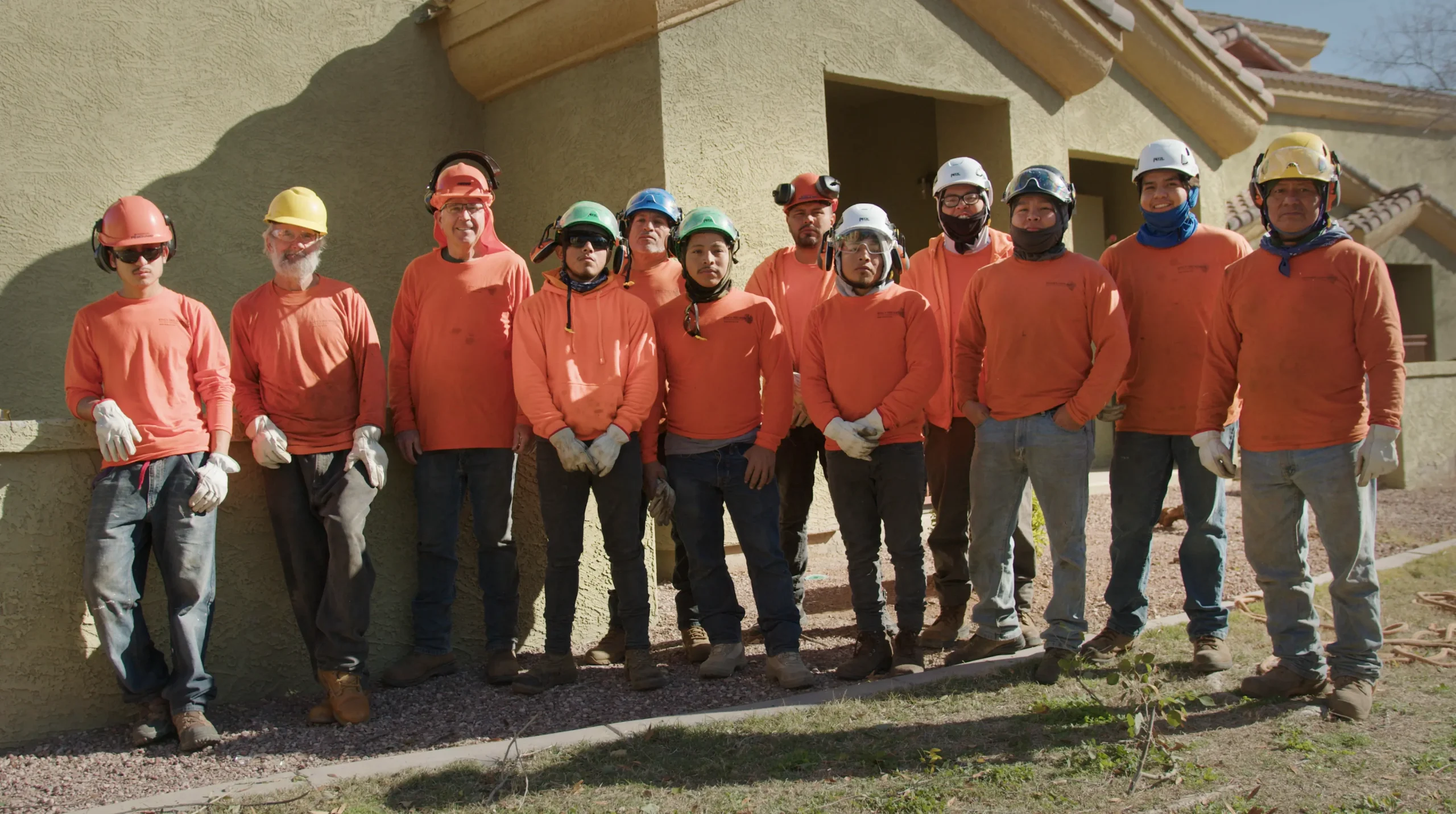 A tree removal team serving Phoenix, AZ