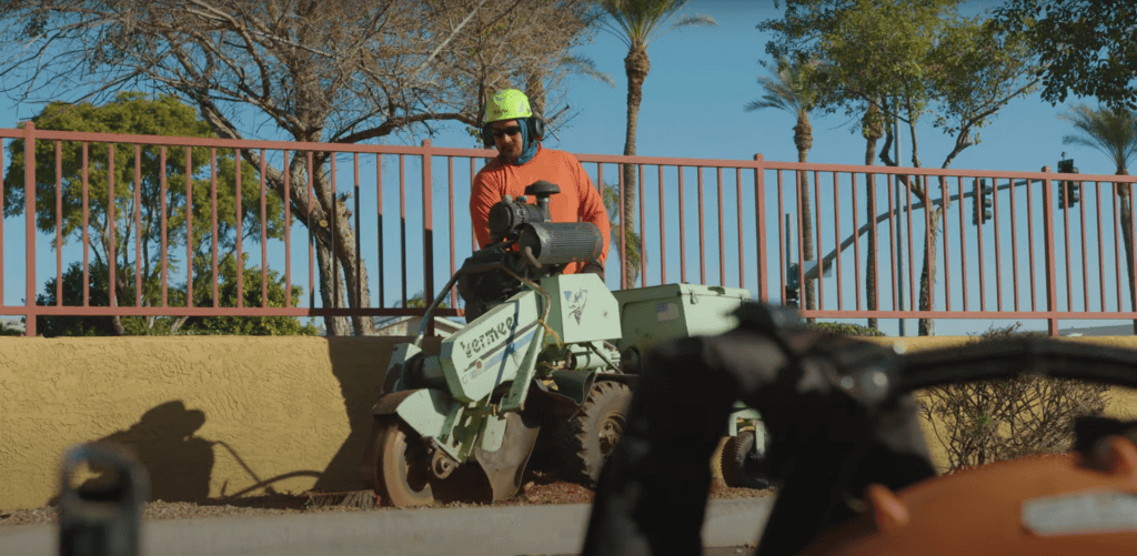 Expert arborists performing stump removal with professional equipment - King's Tree Services