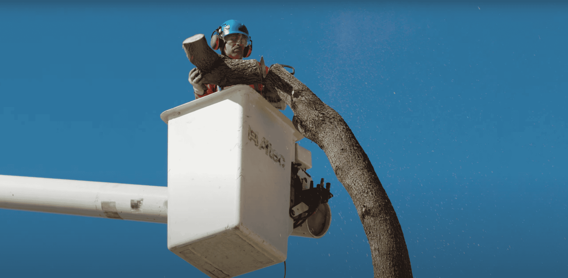 fast tree removal using the right equipment by professional arborists - King's Tree Services
