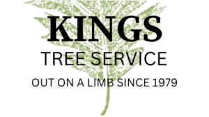 King's Tree Service in Gilbert, Scottsdale & Mesa, AZ