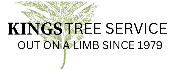 King's Tree Services company logo - King's Tree Services