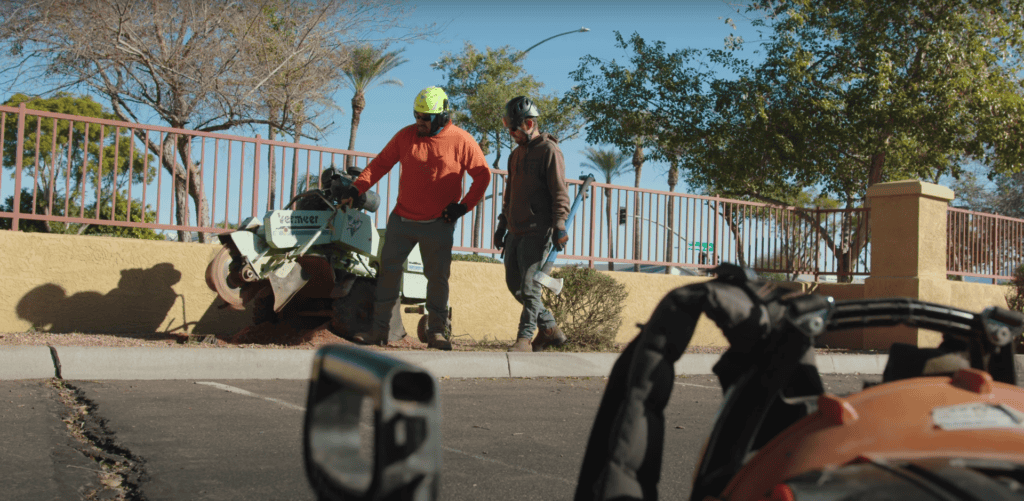 King's Tree Services | Tree Removal and Stump Grinding in Mesa, AZ Tree care team performing stump removal with equipment - King's Tree Services