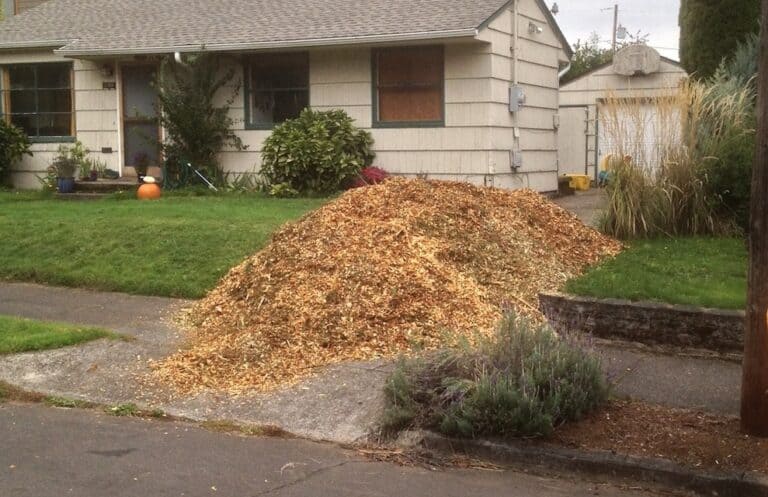 fresh mulch applied for tree health - King's Tree Services