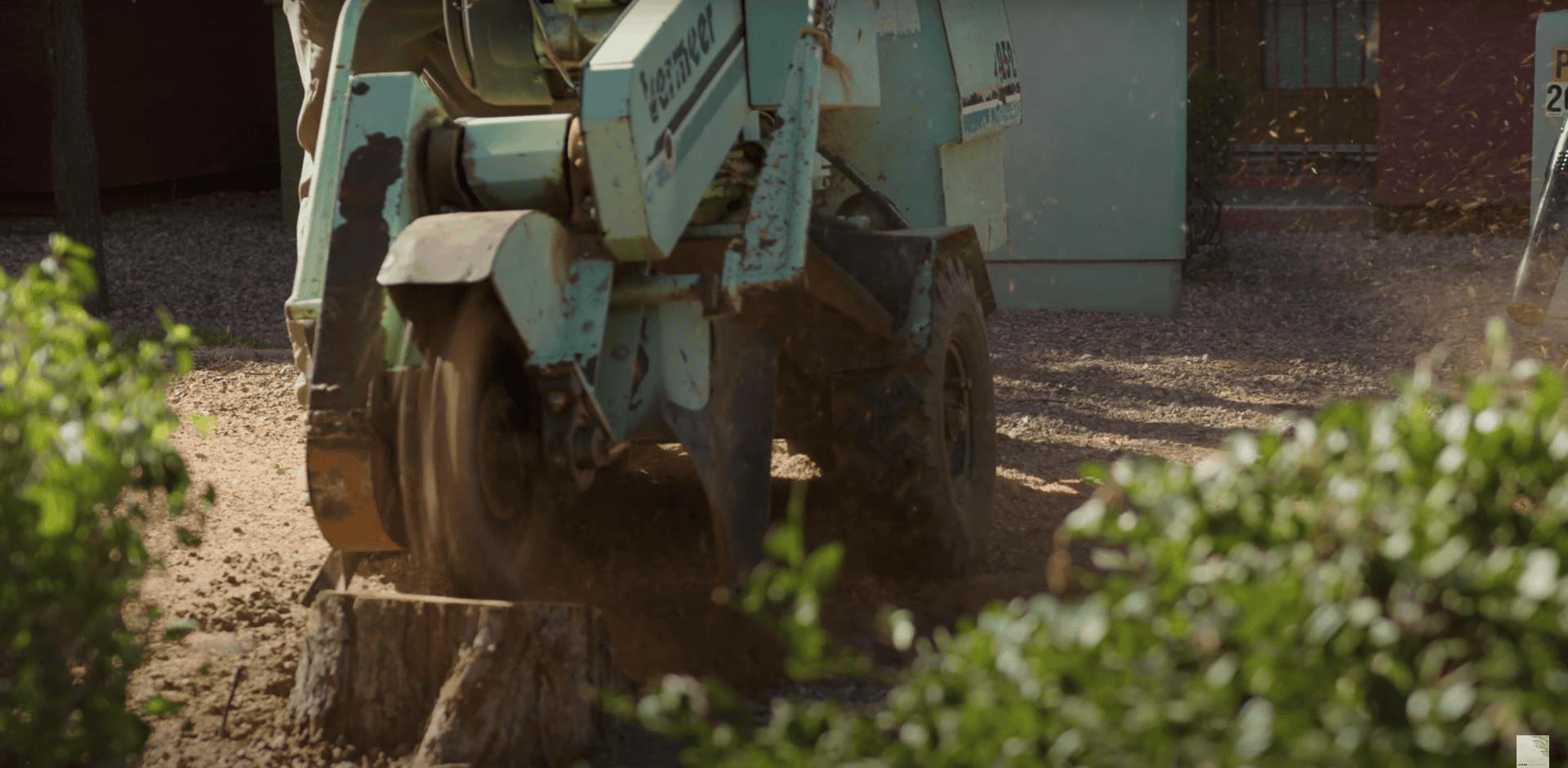 Stump Grinding