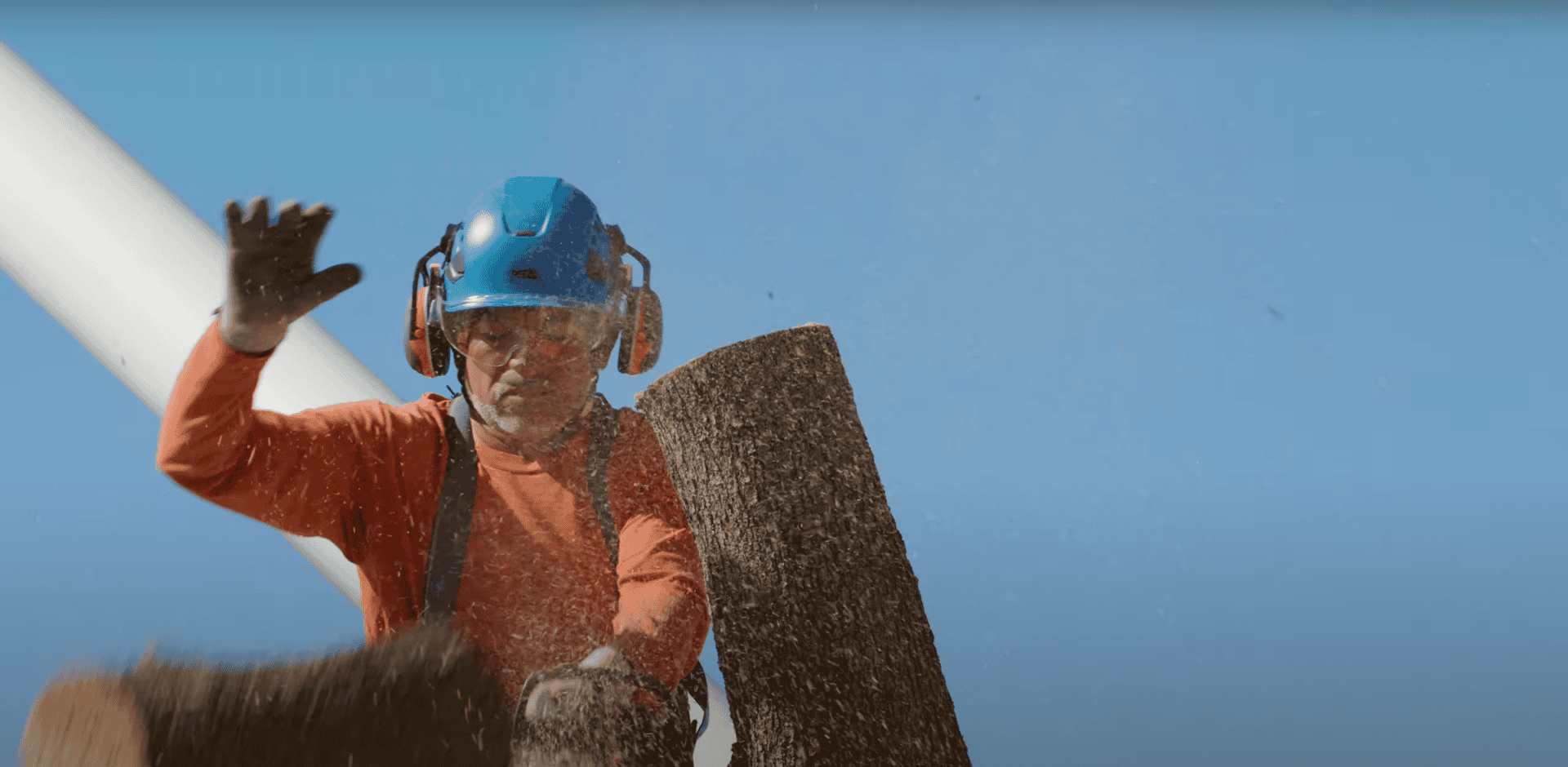 King's Tree Services | Tree Removal and Stump Grinding in Mesa, AZ trained tree trimming safety experts at work - King's Tree Services