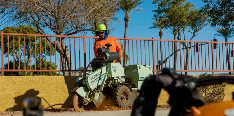 skilled tree care specialists using top-of-the-line licensed and insured equipment - King's Tree Services