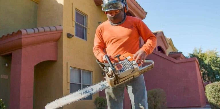 professional tree care team using advanced equipment for safe and efficient service - King's Tree Services