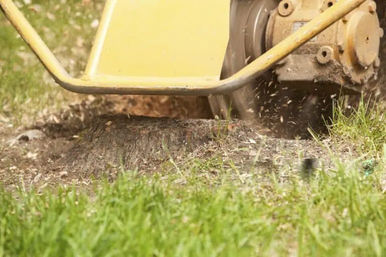 Importance of Stump Grinding