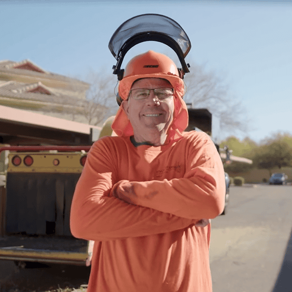 King's Tree Services | Tree Removal Dobson Ranch King's Tree Services | Tree Removal Dobson Ranch