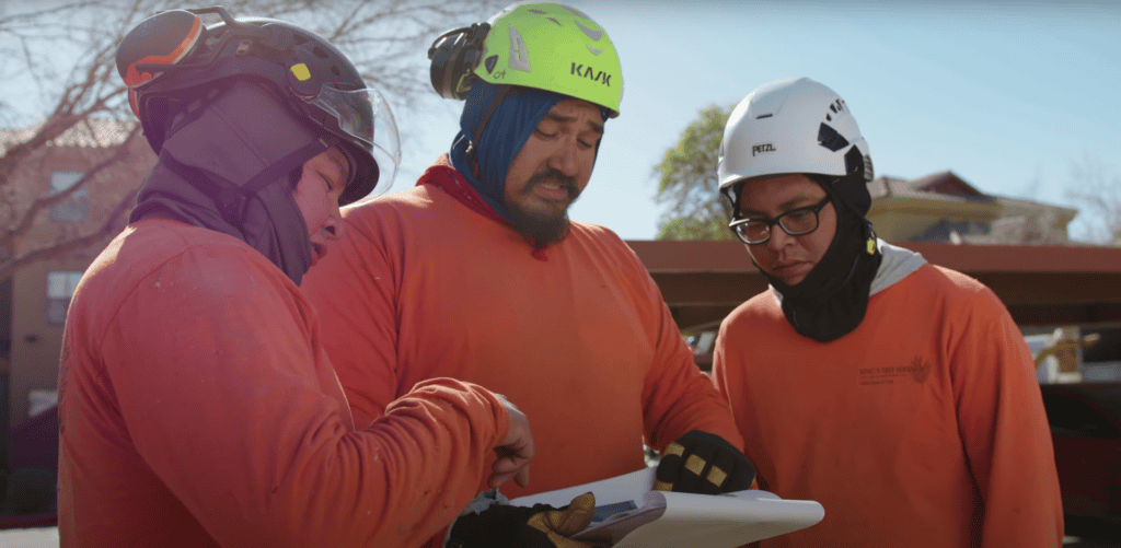 King's Tree Services | Tree Pruning Services Dobson Ranch King's Tree Services | Tree Pruning Services Dobson Ranch