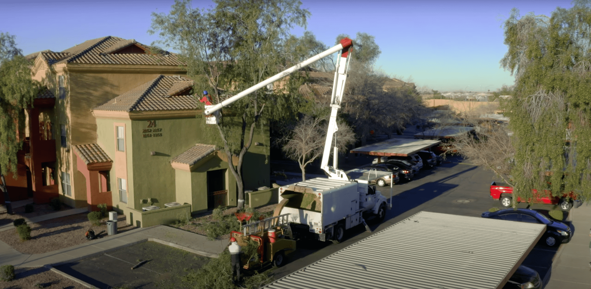 King's Tree Services | Tree Removal Services Las Sendas