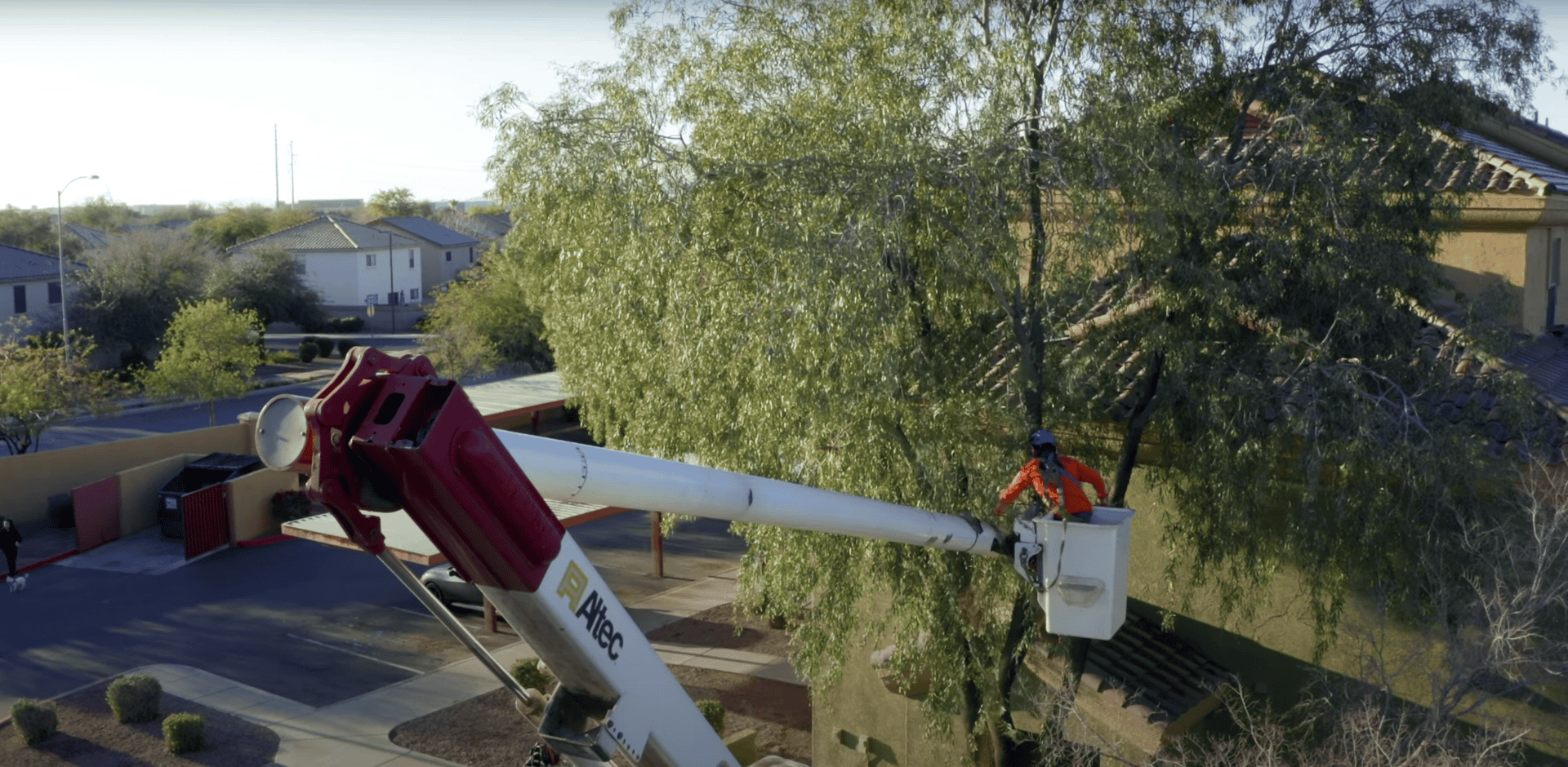 King's Tree Services | Wind Damage Tree Removal Las Sendas