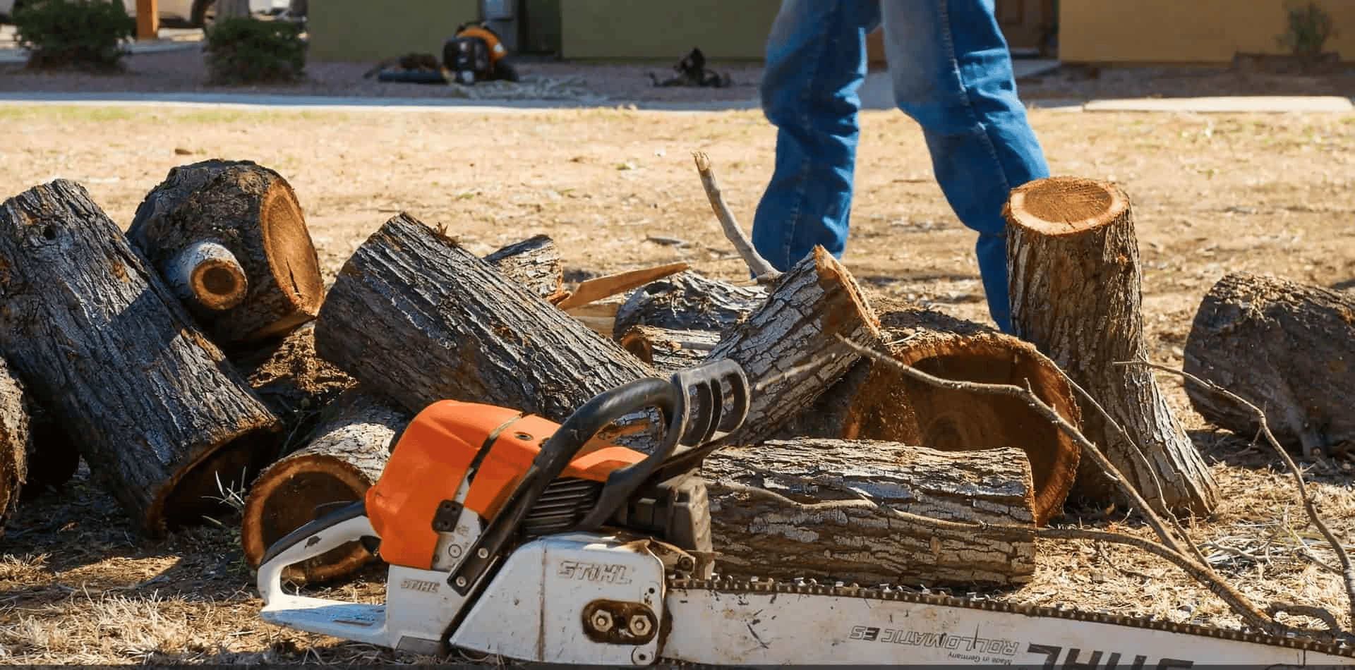 Tree Trimming